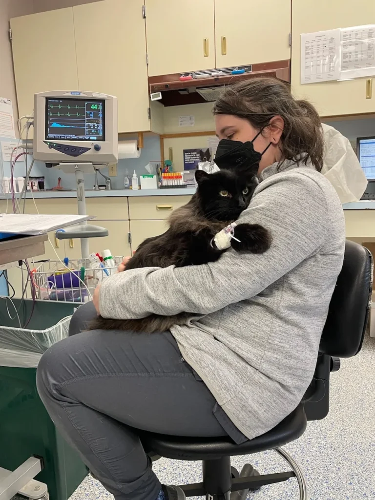 Why Trust Us? 2 Why Trust Us?