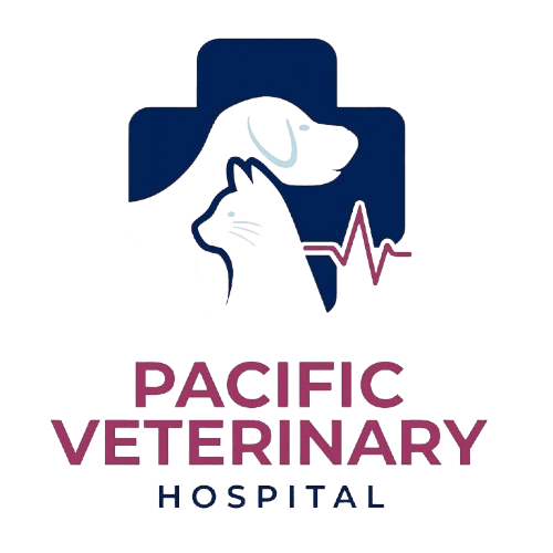 Pacific Veterinary Hospital Stockton