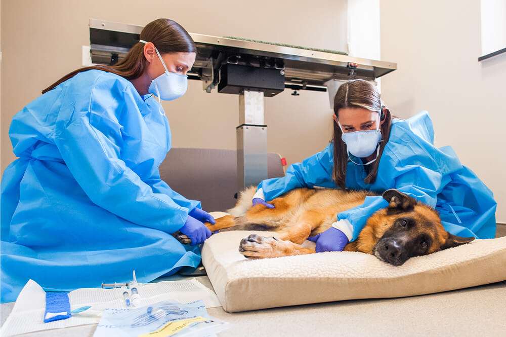 Emergency & Urgent Care