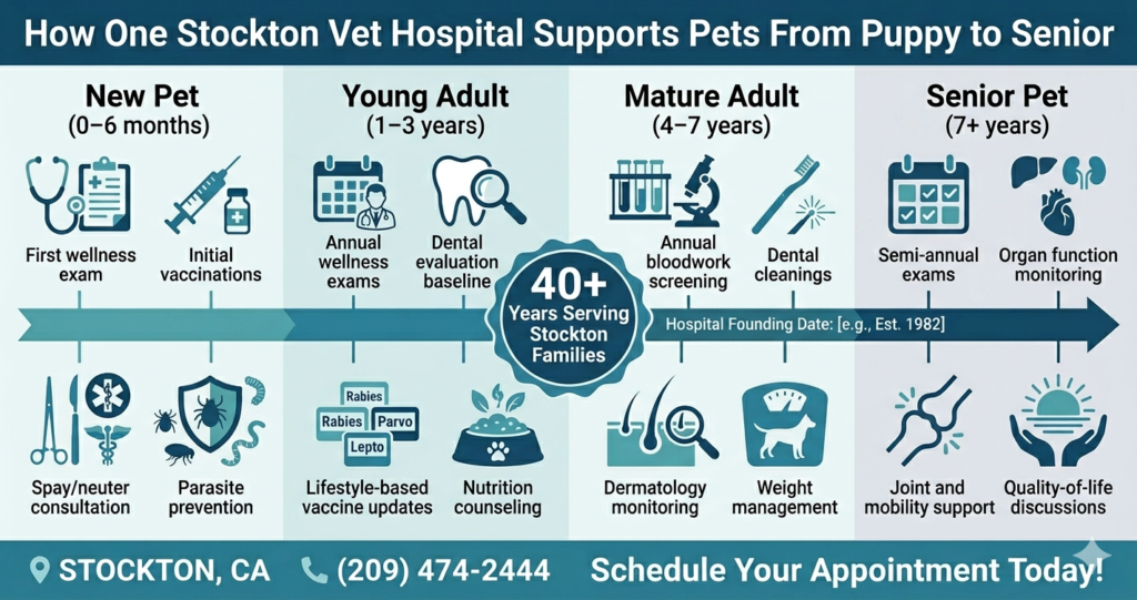 How Your Veterinarian in Stockton, CA Supports Pets Across the Community